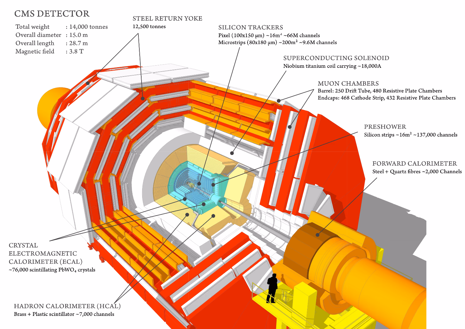 CMS Detector. Tiny human for scale